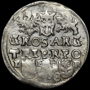 Sigismund III Vasa, Troika 1598, Poznań - flower divides the date
