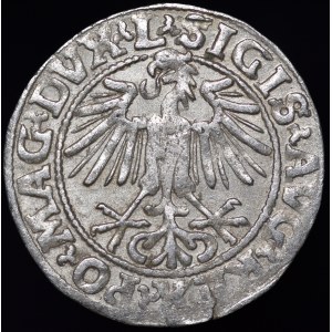 Sigismund II Augustus, Half-penny 1549, Vilnius - 9 Pogon, L/LITVA - rare