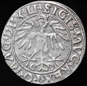 Sigismund II Augustus, Half-penny 1551, Vilnius - LI/LITVA - beautiful