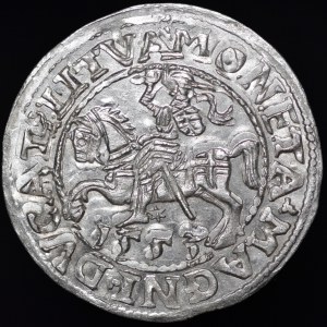 Sigismund II Augustus, Half-penny 1553, Vilnius - LI/LITVA - rare and beautiful