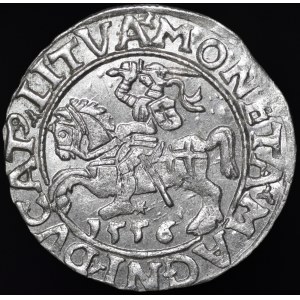 Zygmunt II August, Półgrosz 1556, Wilno - L/LITVA