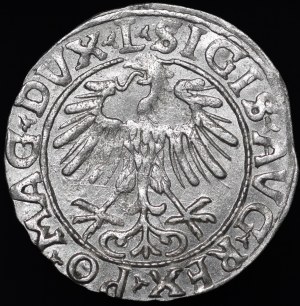 Sigismund II Augustus, Half-penny 1556, Vilnius - L/LITVA