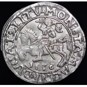 Zygmunt II August, Półgrosz 1556, Wilno - LI/LITV