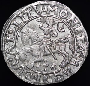Sigismund II Augustus, Half-penny 1556, Vilnius - LI/LITV