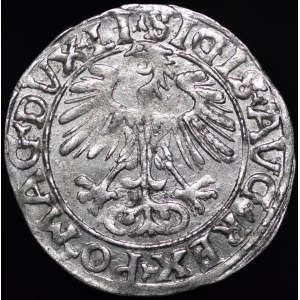Zygmunt II August, Półgrosz 1556, Wilno - LI/LITV