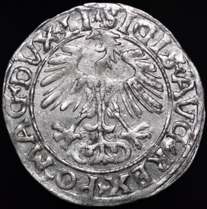 Sigismund II Augustus, Half-penny 1556, Vilnius - LI/LITV
