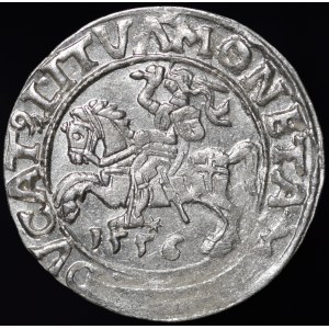 Zygmunt II August, Półgrosz 1556, Wilno - LI/LITVΛ - A bez poprzeczki - rzadki