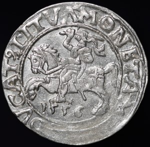 Sigismund II Augustus, Half-penny 1556, Vilnius - LI/LITVΛ - A without crossbar - rare