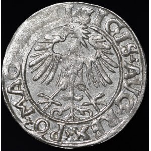 Zygmunt II August, Półgrosz 1556, Wilno - LI/LITVΛ - A bez poprzeczki - rzadki