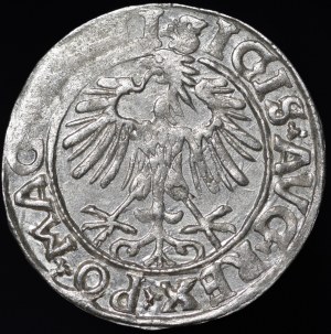 Sigismund II Augustus, Half-penny 1556, Vilnius - LI/LITVΛ - A without crossbar - rare