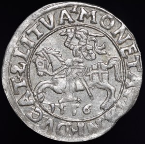 Sigismund II Augustus, Half-penny 1556, Vilnius - LI/LITVA - MANI error - rare