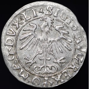 Zygmunt II August, Półgrosz 1556, Wilno - LI/LITVA - błąd MANI - rzadki