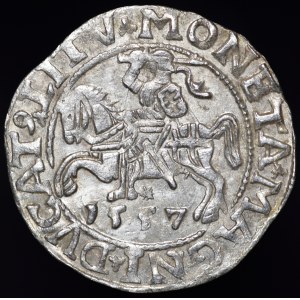 Zygmunt II August, Półgrosz 1557, Wilno - L/LITV