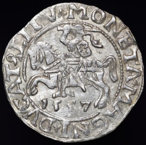Sigismund II Augustus, Half-penny 1557, Vilnius - L/LITV