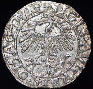 Sigismund II Augustus, Half-penny 1557, Vilnius - L/LITV