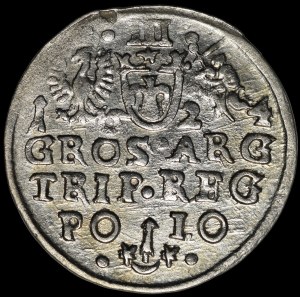 Sigismund III Vasa, Trojak 1624, Krakow - POLO