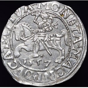 Zygmunt II August, Półgrosz 1557, Wilno - L/LITVA - bez znaku - piękny
