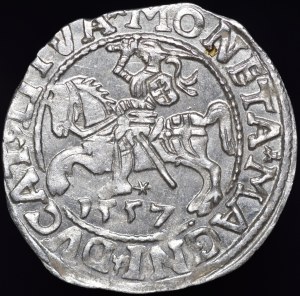 Sigismund II Augustus, Half-penny 1557, Vilnius - L/LITVA - no mark - beautiful