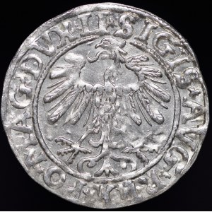 Zygmunt II August, Półgrosz 1557, Wilno - LI/LITV