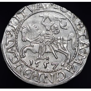 Zygmunt II August, Półgrosz 1557, Wilno - LI/LITVA - piękny