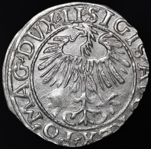 Sigismund II Augustus, Half-penny 1557, Vilnius - LI/LITVA - beautiful