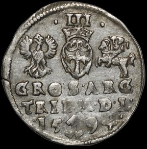 Sigismund III Vasa, Troika 1594, Vilnius