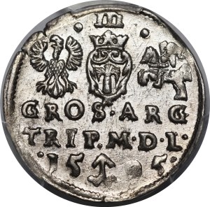 Sigismund III Vasa, Troika 1595, Vilnius - Chalecki divides the date