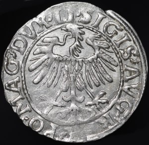Sigismund II Augustus, Half-penny 1557, Vilnius - LI/LITVA