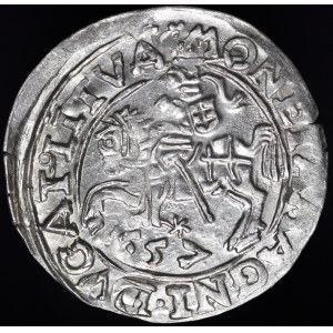 Zygmunt II August, Półgrosz 1557, Wilno - trójlistki - Behm - nieopisany