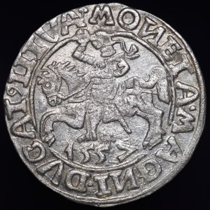 Sigismund II Augustus, Half-penny 1557, Vilnius - tri-leaves - Behm