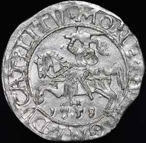 Sigismund II Augustus, Half-penny 1558, Vilnius - L/LITV