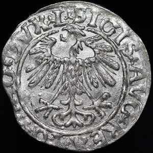 Sigismund II Augustus, Half-penny 1558, Vilnius - L/LITV