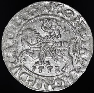 Sigismund II Augustus, Half-penny 1558, Vilnius - LI/LITV