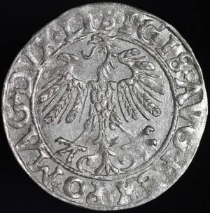 Sigismund II Augustus, Half-penny 1558, Vilnius - LI/LITV