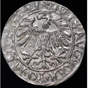 Zygmunt II August, Półgrosz 1558, Wilno - LI/LITV