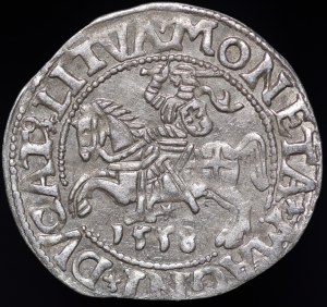 Sigismund II Augustus, Half-penny 1558, Vilnius - LI/LITVA