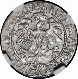 Sigismund II Augustus, Half-penny 1559, Vilnius - L/LITV