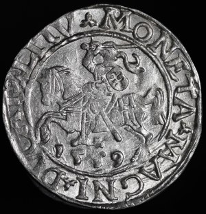 Sigismund II Augustus, Half-penny 1559, Vilnius - LI/LITV - rare