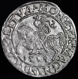 Sigismund II Augustus, Half-penny 1559, Vilnius - LI/LITVA