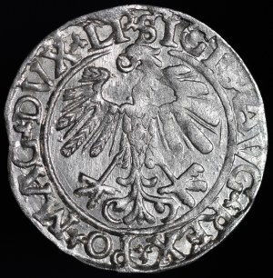 Sigismund II Augustus, Half-penny 1559, Vilnius - LI/LITVA