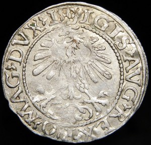 Sigismund II Augustus, Half-penny 1560, Vilnius - DVX L/LITVA - rare