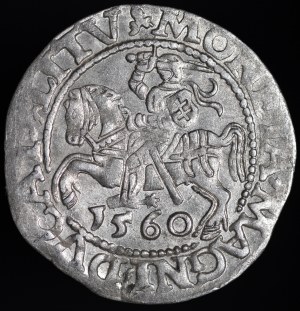 Sigismund II Augustus, Half-penny 1560, Vilnius - DVX LI/LITV