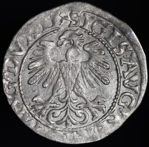 Sigismund II Augustus, Half-penny 1560, Vilnius - DVX LI/LITV