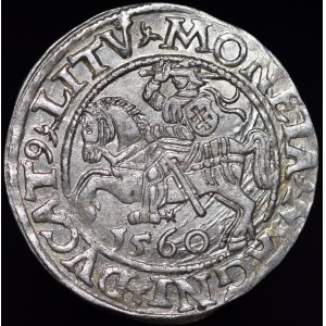 Zygmunt II August, Półgrosz 1560, Wilno - DVX LI/LITV