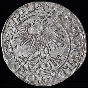 Zygmunt II August, Półgrosz 1560, Wilno - DVX LI/LITV