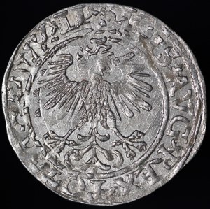 Sigismund II Augustus, Half-penny 1560, Vilnius - DVX LI/LITV