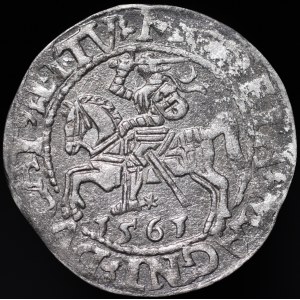 Zygmunt II August, Półgrosz 1561, Wilno - 14 Orzeł, DV L/LITV - rzadki