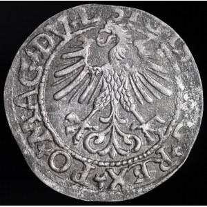 Zygmunt II August, Półgrosz 1561, Wilno - 14 Orzeł, DV L/LITV - rzadki