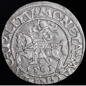 Zygmunt II August, Półgrosz 1561, Wilno - 14 Orzeł, L/LITV