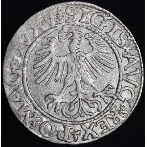 Zygmunt II August, Półgrosz 1561, Wilno - 14 Orzeł, L/LITV